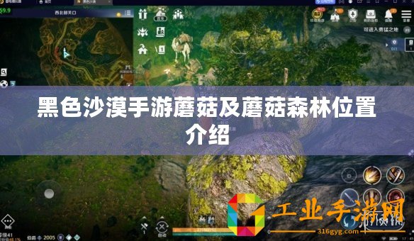 黑色沙漠手游蘑菇及蘑菇森林位置介紹