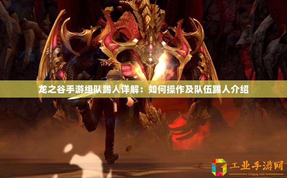 龍之谷手游組隊(duì)踢人詳解：如何操作及隊(duì)伍踢人介紹