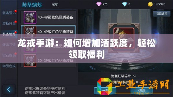 龍戒手游：如何增加活躍度，輕松領取福利
