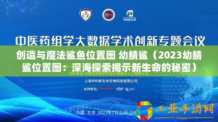創(chuàng)造與魔法鯊魚位置圖 幼鯖鯊（2023幼鯖鯊位置圖：深海探索揭示新生命的秘密）