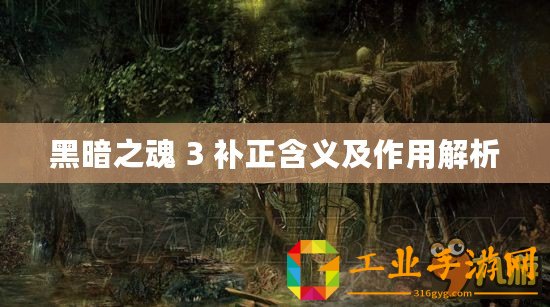 黑暗之魂 3 補(bǔ)正含義及作用解析