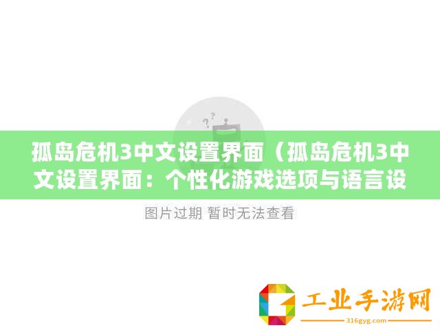 孤島危機(jī)3中文設(shè)置界面（孤島危機(jī)3中文設(shè)置界面：個(gè)性化游戲選項(xiàng)與語言設(shè)定）