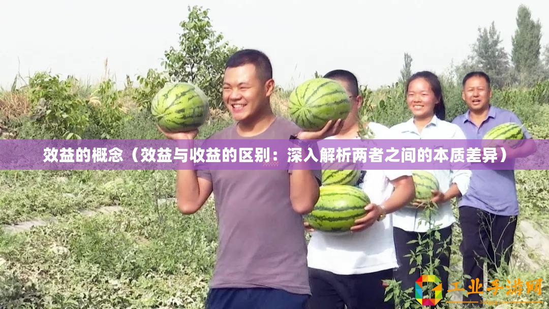 效益的概念（效益與收益的區(qū)別：深入解析兩者之間的本質(zhì)差異）
